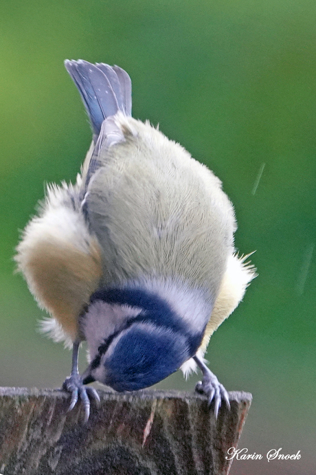 "Hij is er ondersteboven van..."
