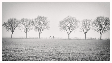 Fietsers in de mist