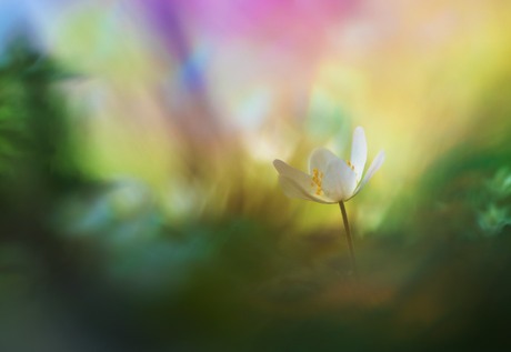 daar sta je dan kleintje 