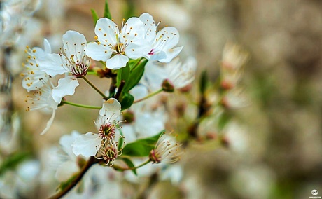 April