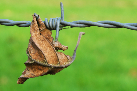 Gevallen en weer opgevangen.
