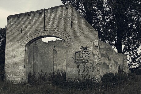 De Uilenhorst
