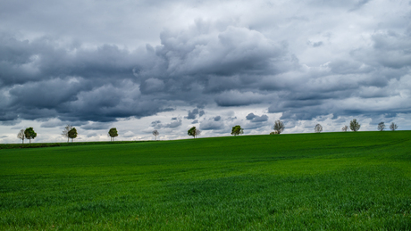 Links van de weg