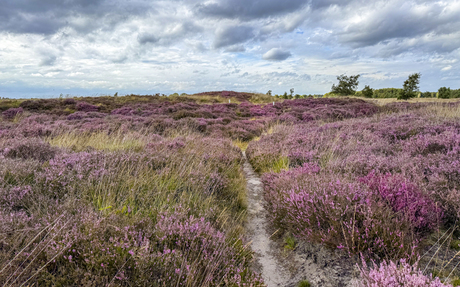 pad naar De Galgenberg