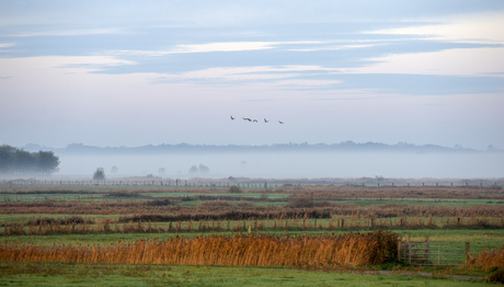 Uitkerkse polder