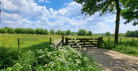 Zicht op de urkhovense zeggen 