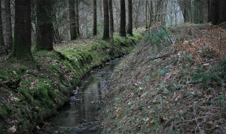 Landelijk beekje 
