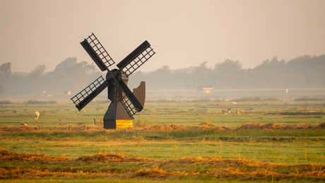 Molendje in de ochtend