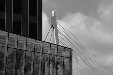 Rotterdams lijnenspel