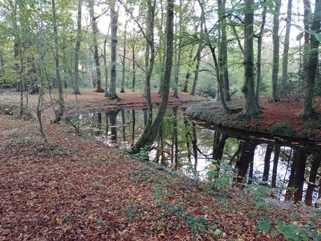 De herfst is begonnen