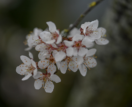 Spring is in the air 