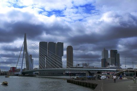 Erasmusbrug Rotterdam