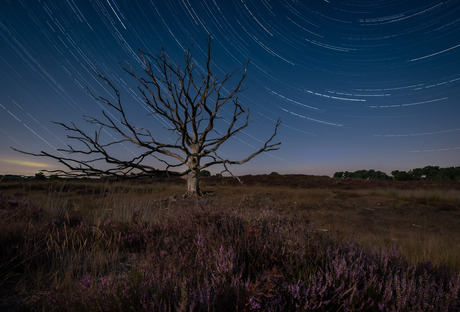 Startrails