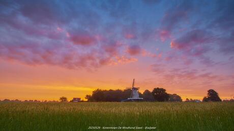 Zonsopkomst bij Korenmolen De Windhond Soest