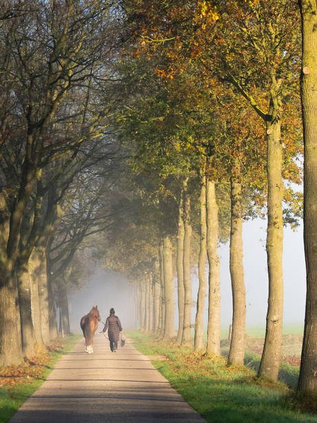 Ochtendwandeling