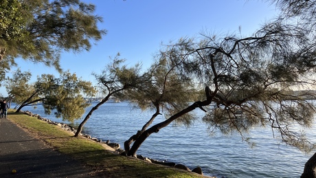 Mooloolaba - Australië