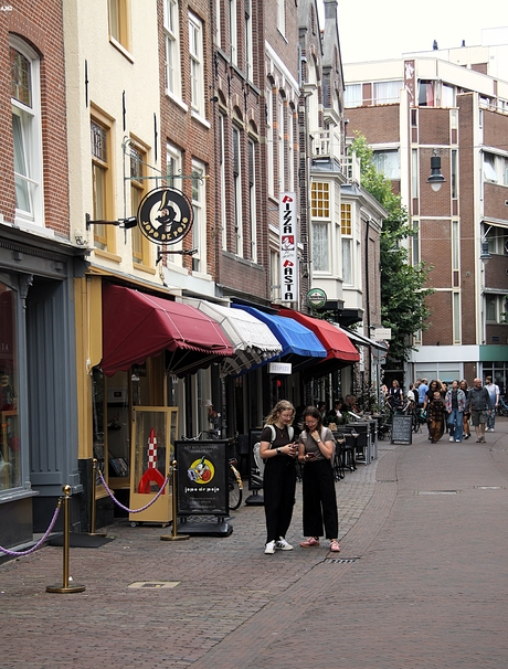 Kleurrijke markiezen 