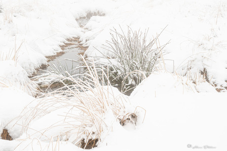 Winterslandschap