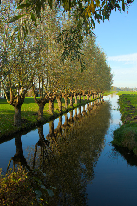 Spiegeltje op de grond...