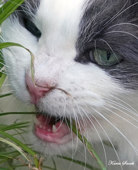 "Lekker smikkelen..."