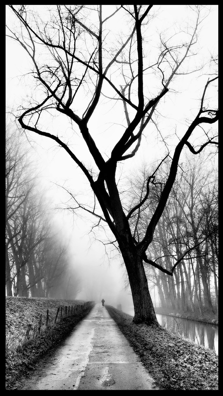 Mist in de polder