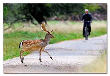  Amsterdamse Waterleiding Duinen?