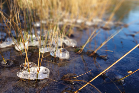 De grilligheden van bevroren water in de natuur