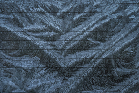 De kunst van vorst...