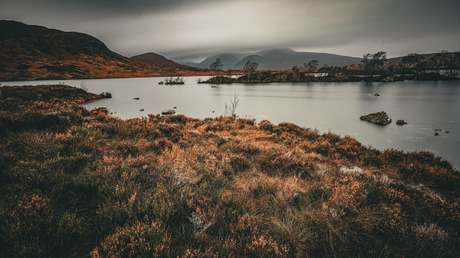 Rannoch Moor 
