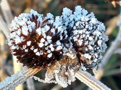 Alvast de beste wensen en super 2026 iedereen 