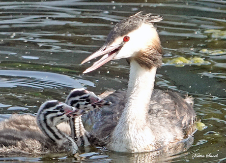 "En toen, mijn kinderen...."