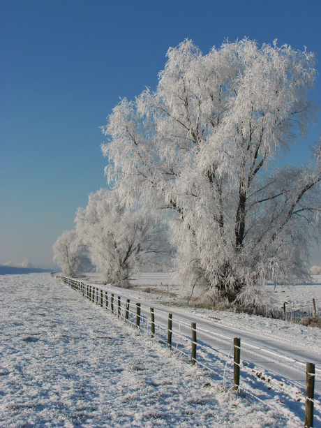 Winter 2009