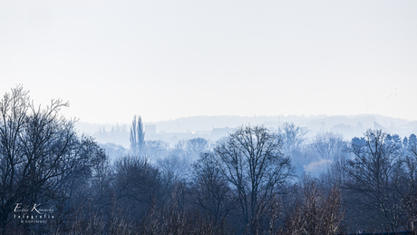 Mist in het bos. 