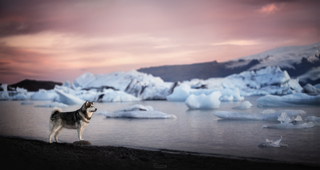 Glacier lagoon 