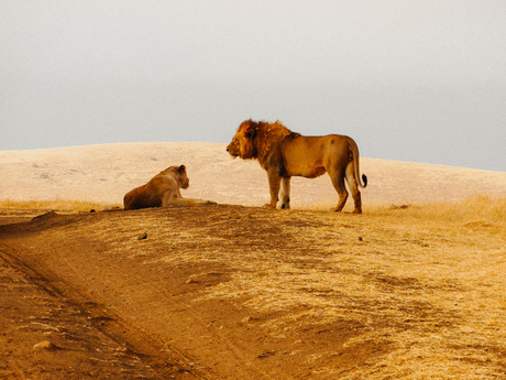 Afrika Tanzania 