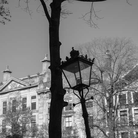 Everybody needs a shoulder to lean on