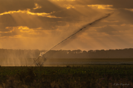 gewassen beregenen