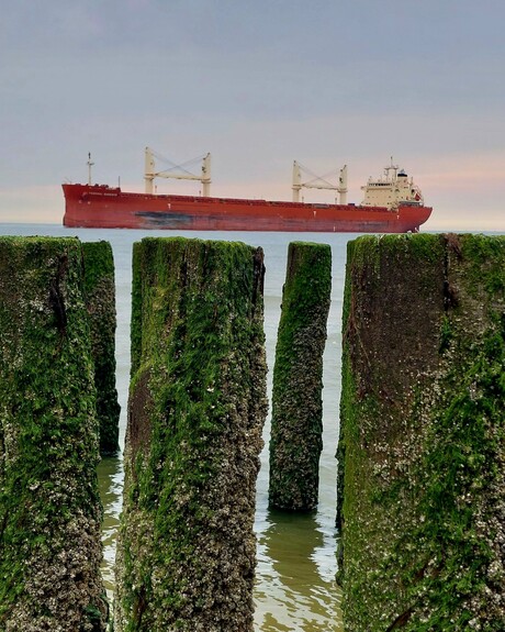 Vrachtschip op palen