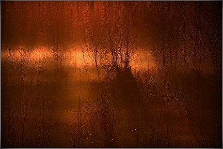 Mee genomen In het licht