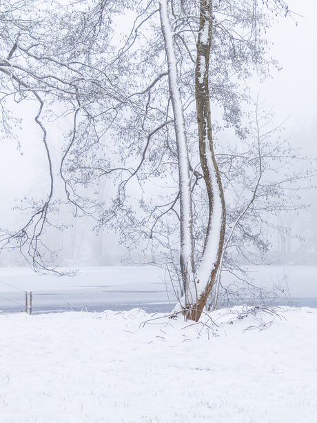 Genieten in de sneeuw