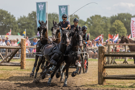 NK vierspannen Beekbergen