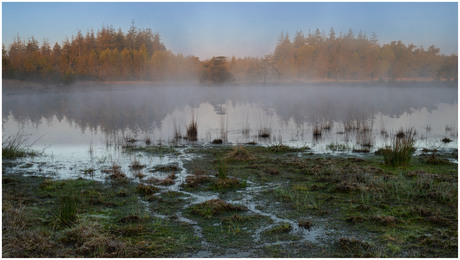 Zonsopkomst Fries Drents Wold