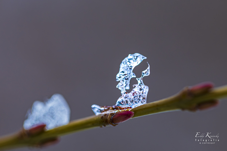 ijssculpturen in de tuin.