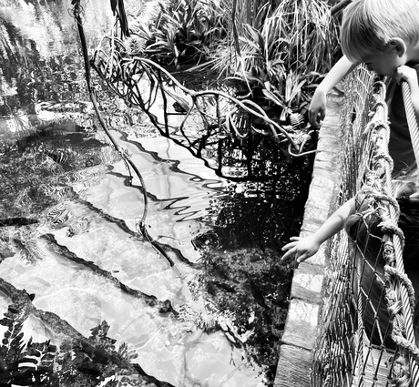 Water Dierentuin kind 