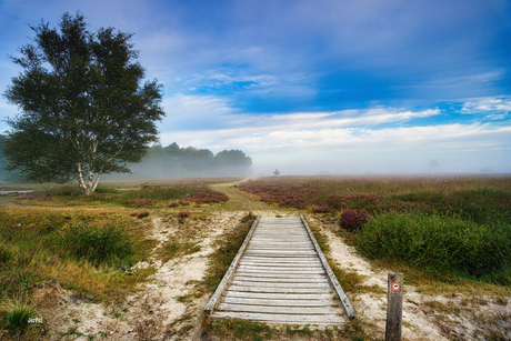 Balloërveld!