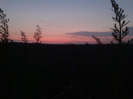 Sunset over 