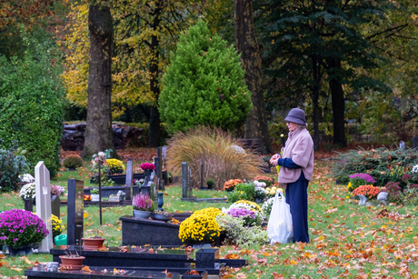 Het is de tijd van het jaar