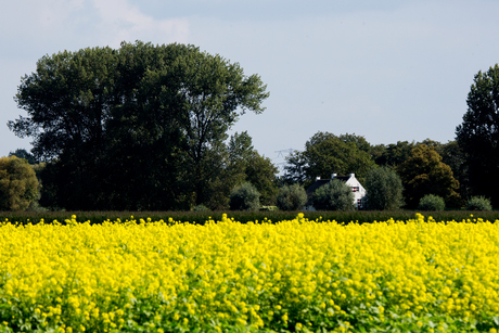 polder