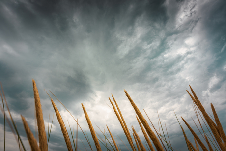Dreigende wolken boven de Wassenaarse slag
