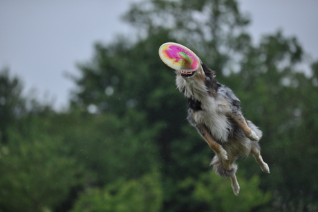 In de lucht....
